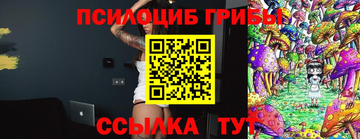 Псилоцибиновые грибы MAGIC MUSHROOMS  Вход с VPN  Каменск-Шахтинский 